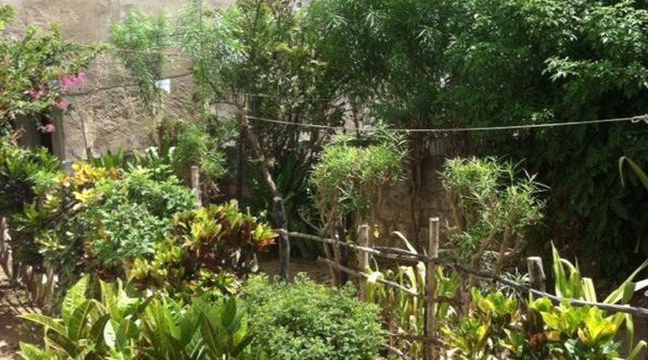 Pole Pole Guest House