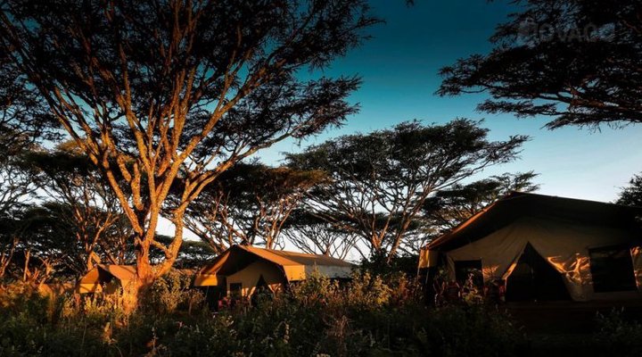Lemala Ngorongoro Tented Camp