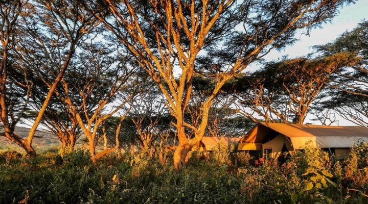 Lemala Ngorongoro Tented Camp