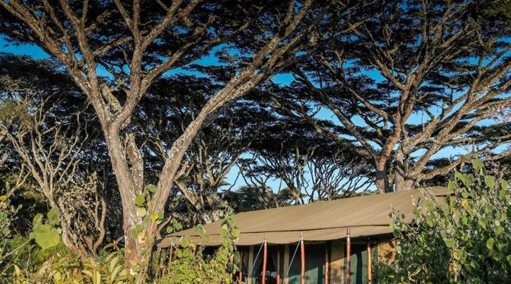 Lemala Ngorongoro Tented Camp