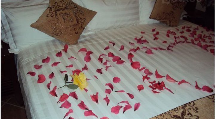 Gezahegn & Elfnesh Hotels And Resorts