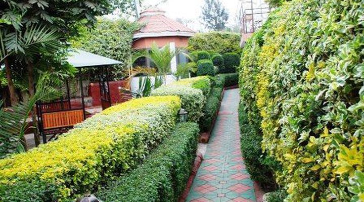 Mercury Tourism Hotel