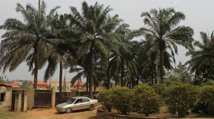 Benbo Games Village Hotel Limited
