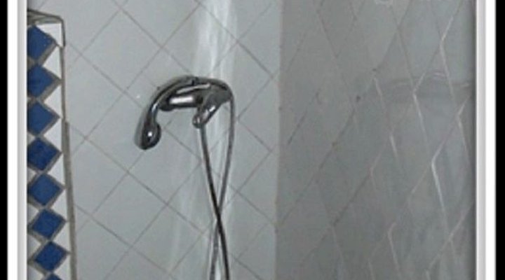 Les Manguiers de Warang