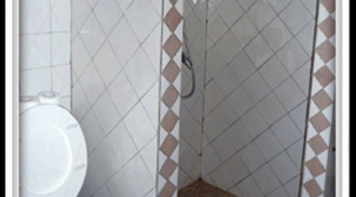 Les Manguiers de Warang