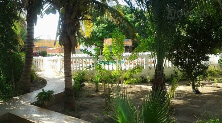 Les Manguiers de Warang