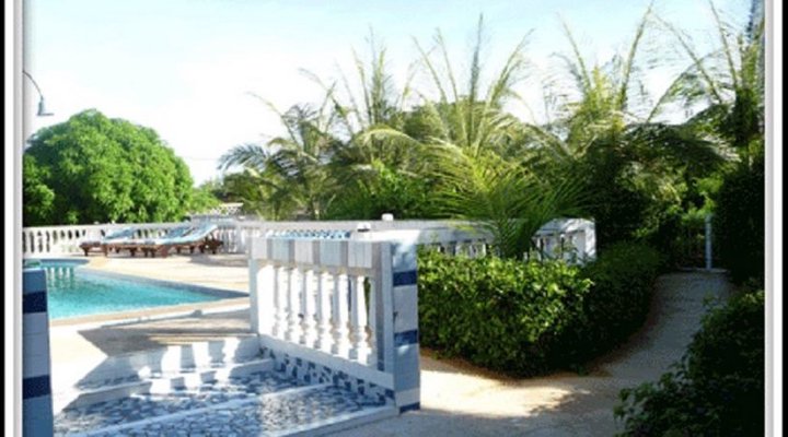 Les Manguiers de Warang