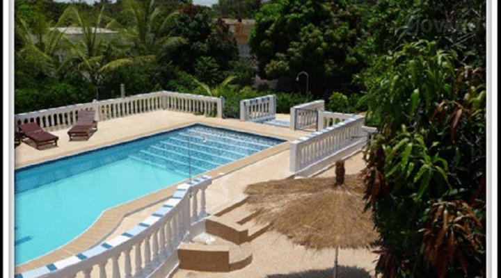 Les Manguiers de Warang