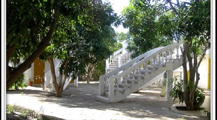 Les Manguiers de Warang