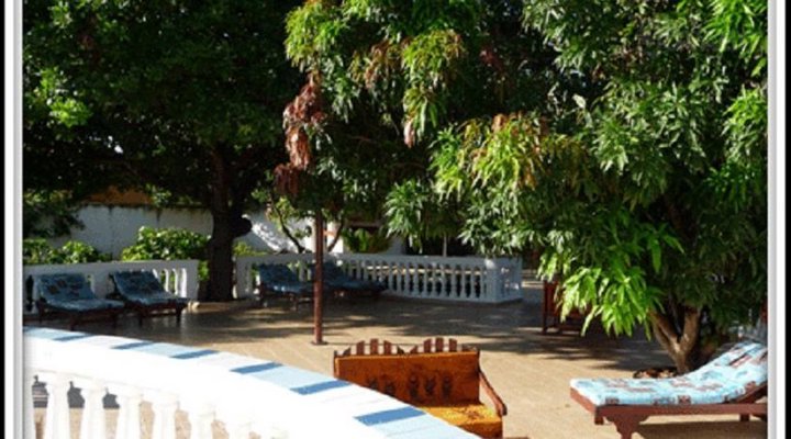 Les Manguiers de Warang