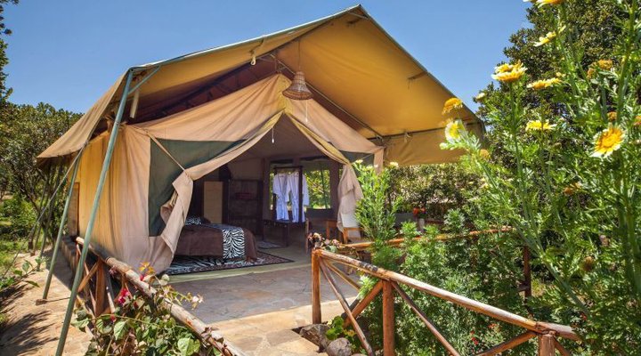 Rhino Watch Safari Lodge