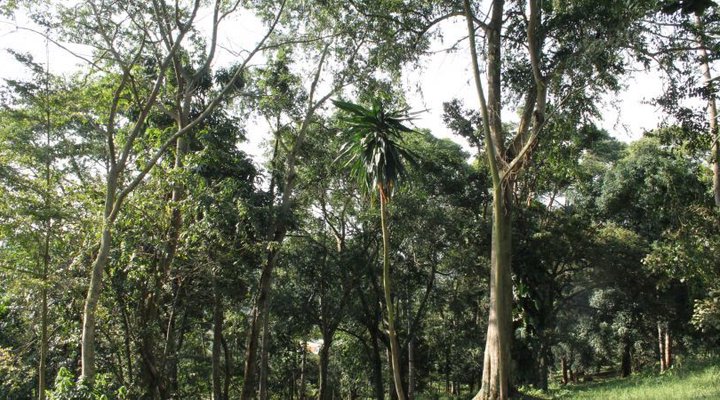 The Ankrah Foundation Resort and Conference Complex