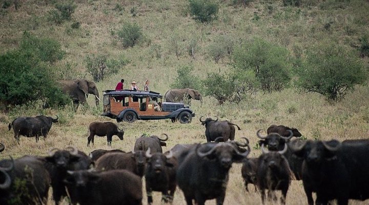 Cottar's 1920s Safari Camp