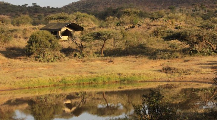 Loisaba Bush Camp
