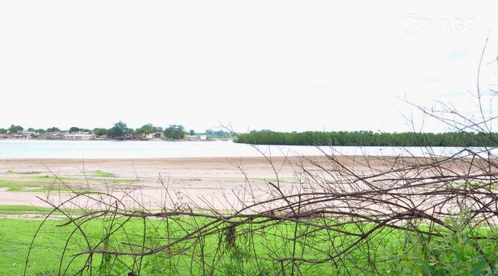 Les Calaos du Saloum