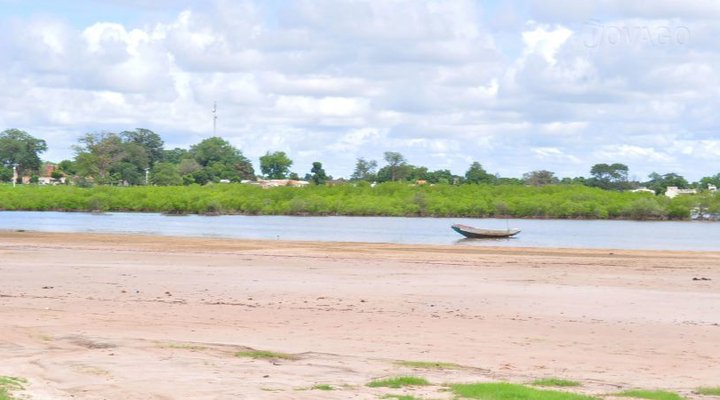 Les Calaos du Saloum