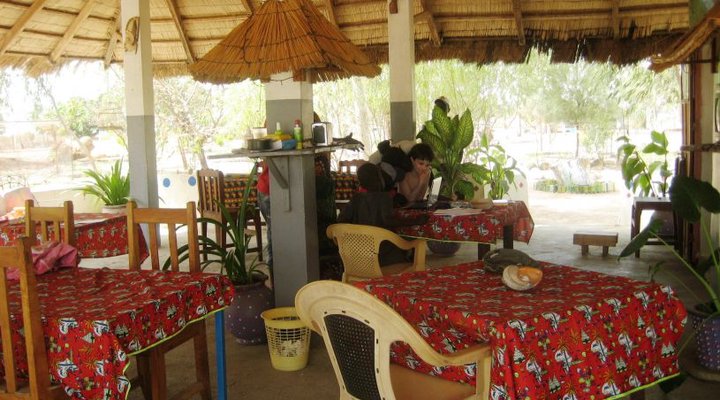 Les Calaos du Saloum