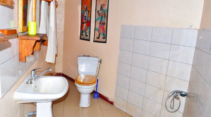 Les Calaos du Saloum