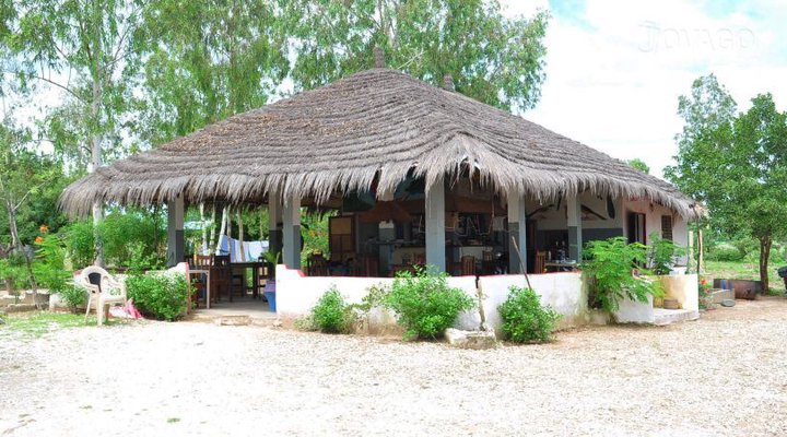 Les Calaos du Saloum