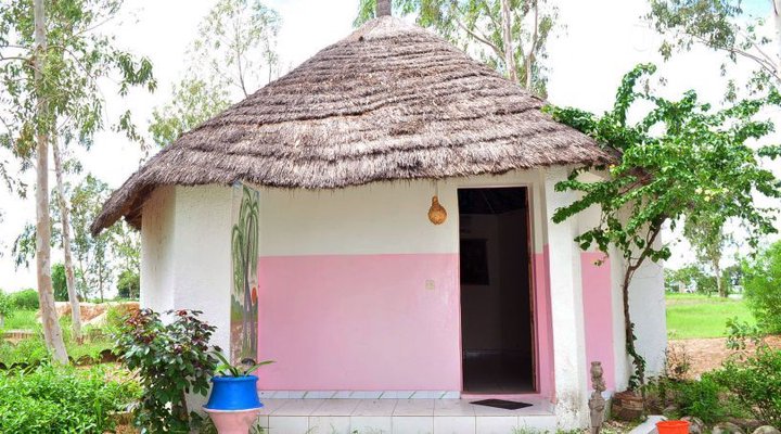 Les Calaos du Saloum