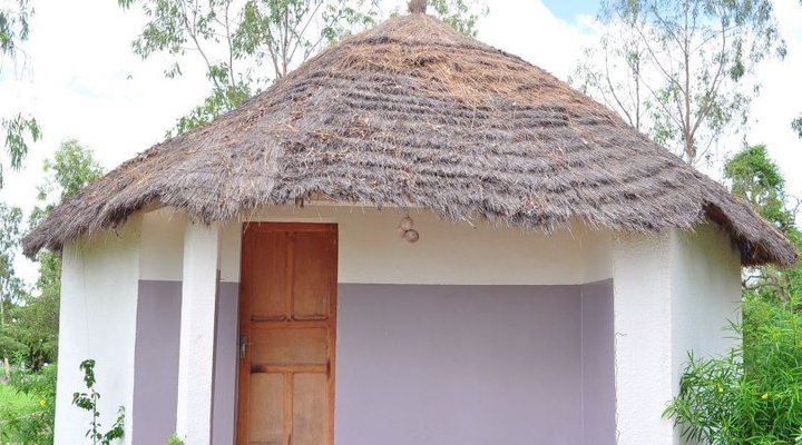 Les Calaos du Saloum