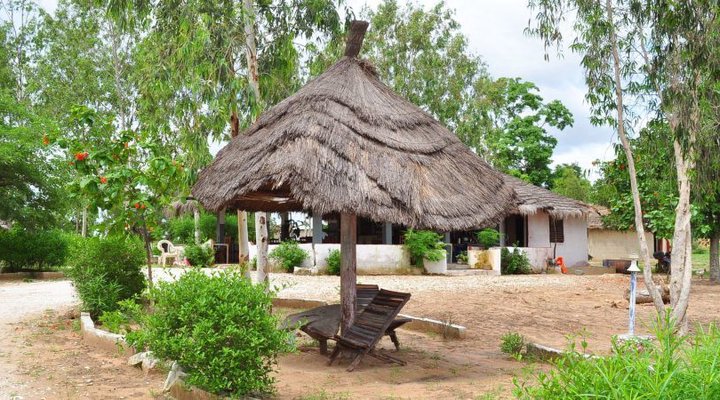 Les Calaos du Saloum