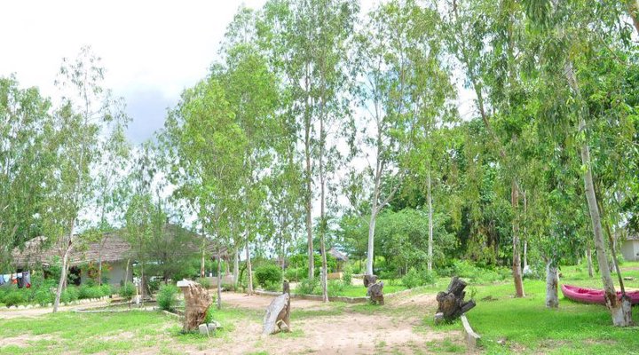 Les Calaos du Saloum