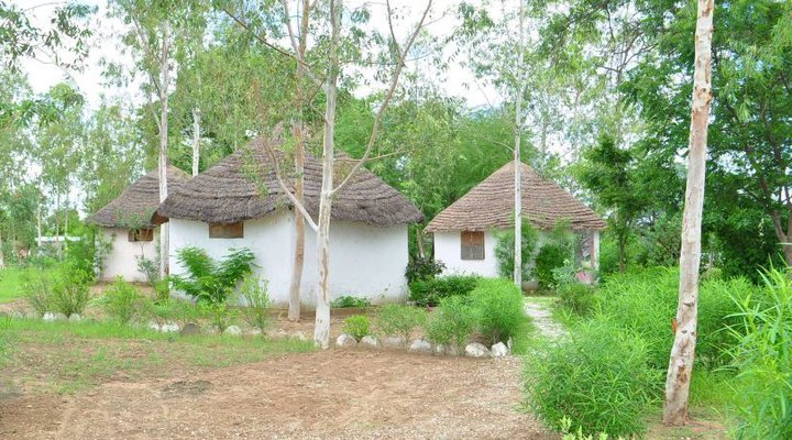 Les Calaos du Saloum