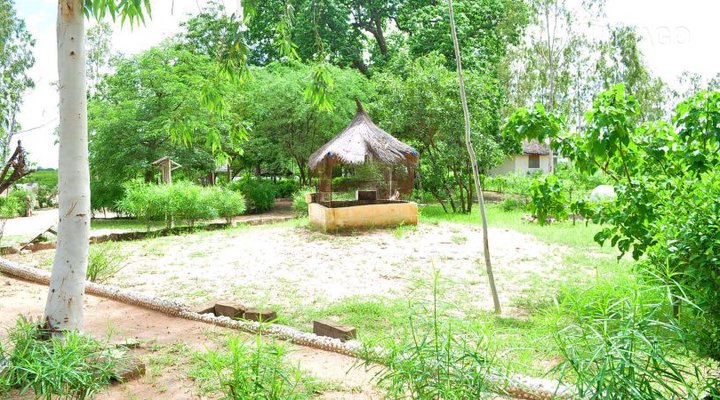 Les Calaos du Saloum