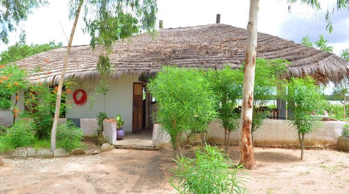 Les Calaos du Saloum