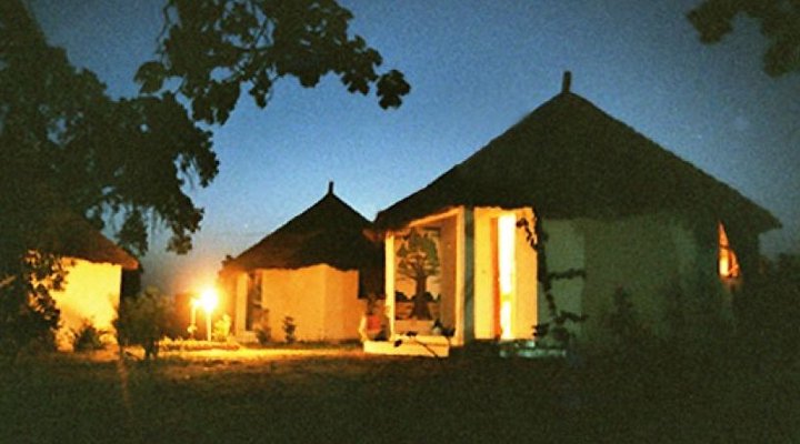 Les Calaos du Saloum