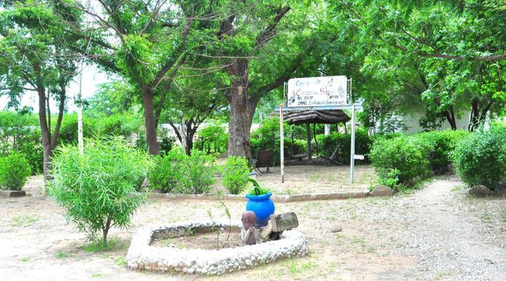 Les Calaos du Saloum