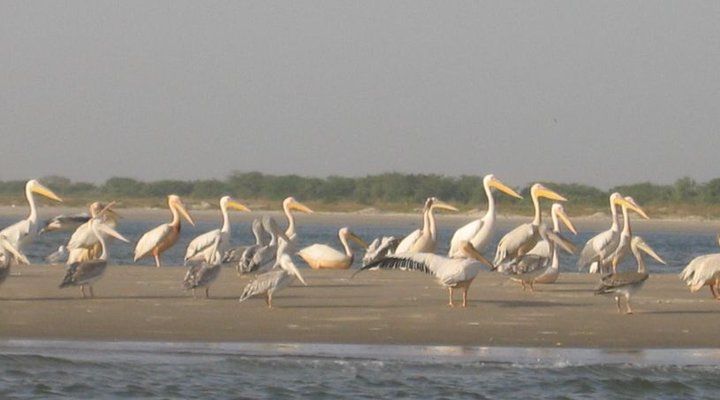 Lodge Hotel Keur Saloum