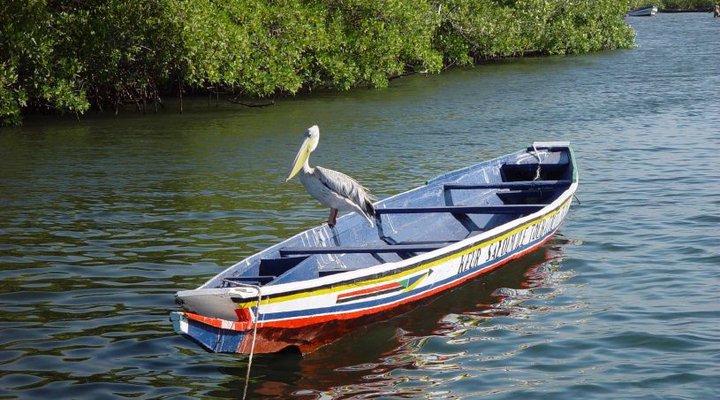 Lodge Hotel Keur Saloum