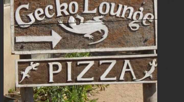 Gecko Lounge