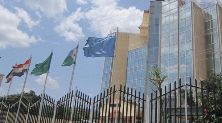 Gulf Flower International Hotel