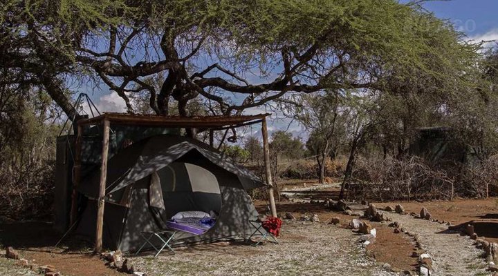 Selenkay Adventure Camp