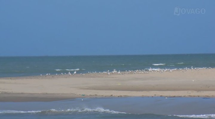 Campement La Belle Danielle