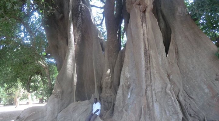 Campement La Belle Danielle