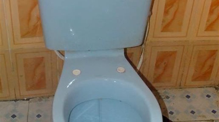 Alice Dee Hotels and Suites Limited