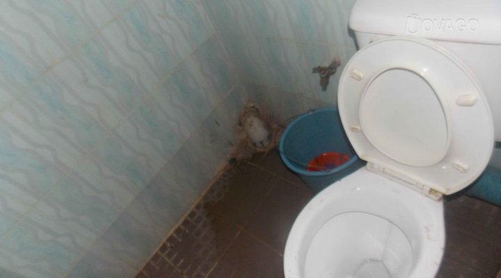 Jambed Hotel and Suites