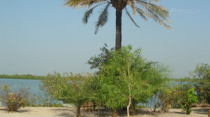 Campement de l'Ile d'Effrane