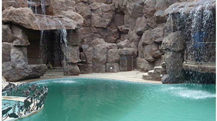 Rock House Guest Home