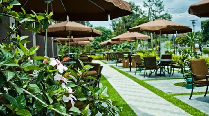 South Star International