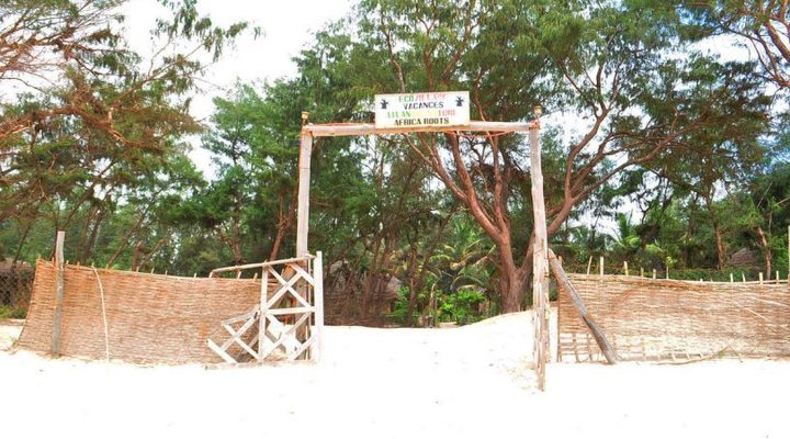 Africa Roots