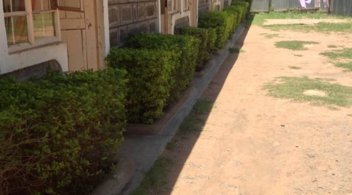 4DSem Acacia Accommodation