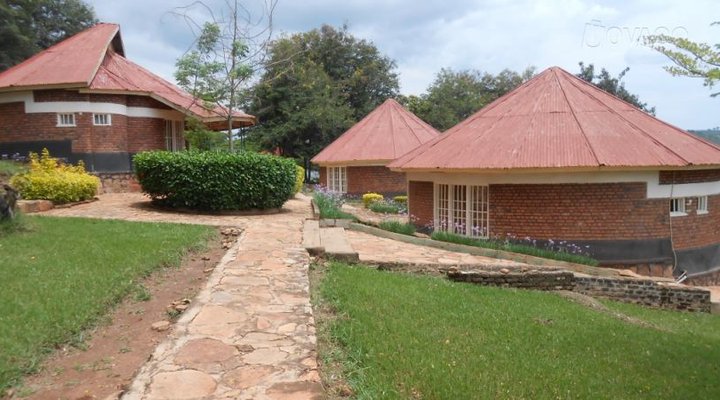 Seed of Peace Center