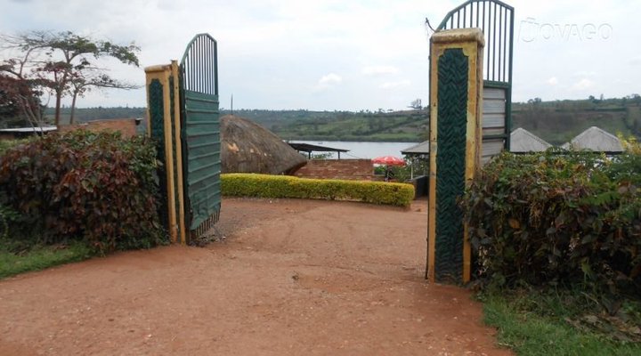 Seed of Peace Center