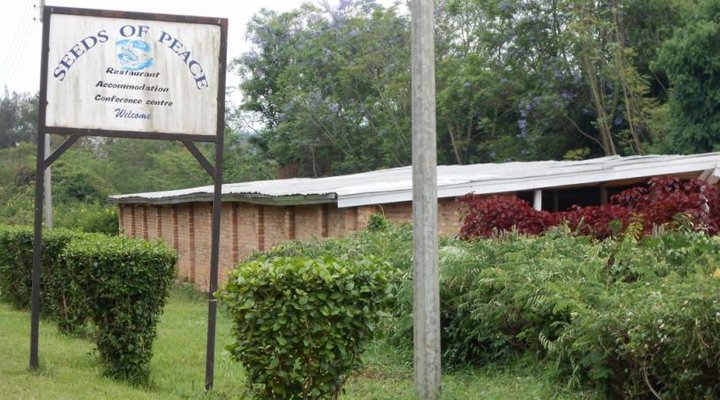 Seed of Peace Center