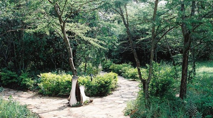 Oltome Mara Magic Camp